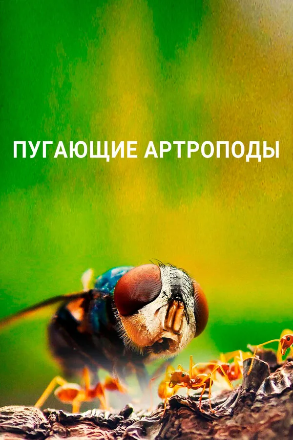 Пугающие артроподы — постер
