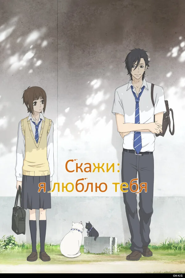 Скажи: я люблю тебя — постер