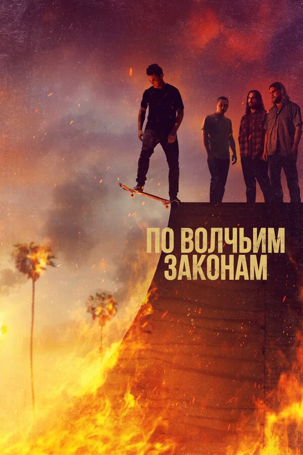 По волчьим законам — постер
