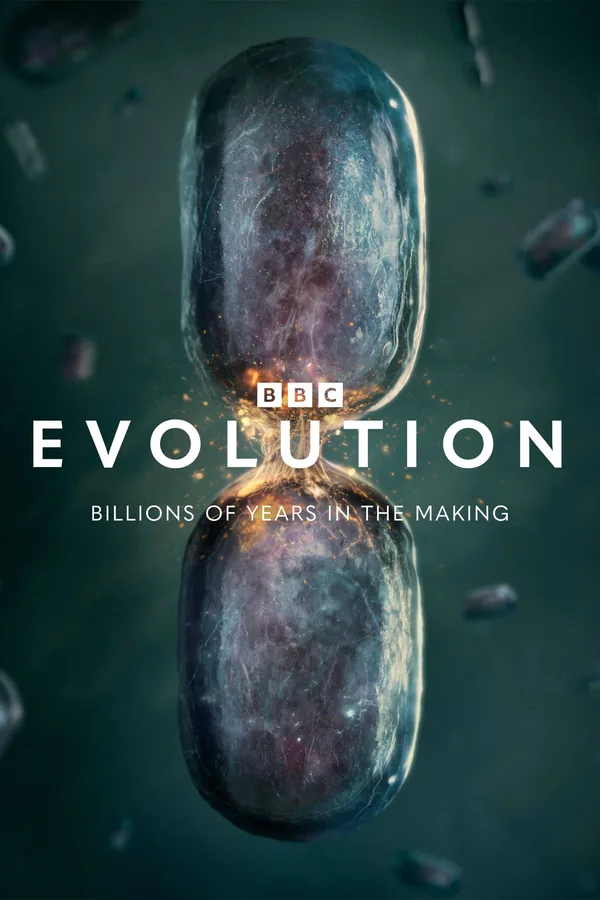 Evolution — постер